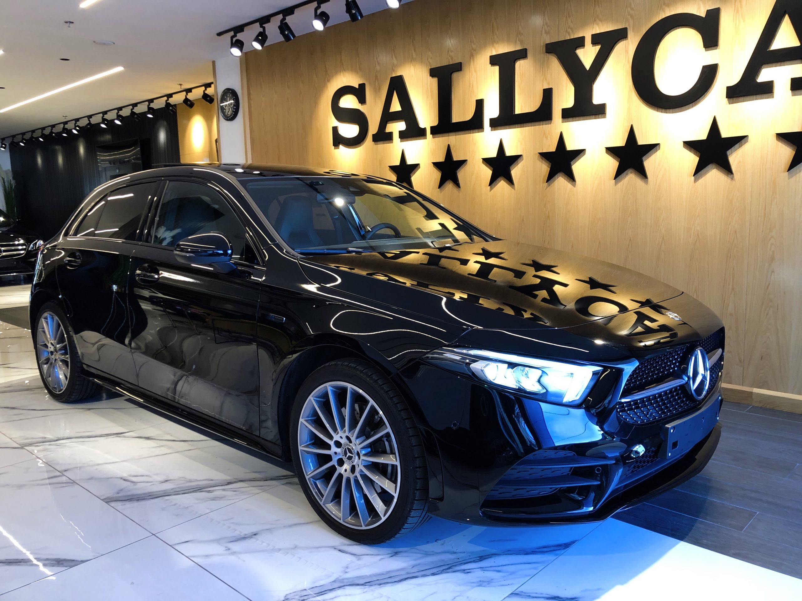 Read more about the article MERCEDES-BENZ A250E